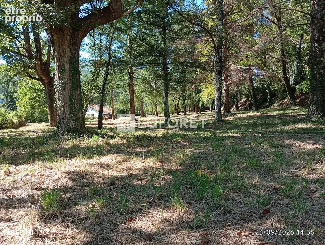 Ancien camping / 2,15 ha - prats de mollo - photo 2