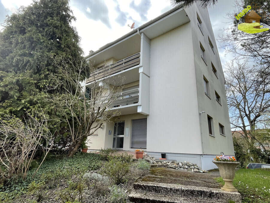 Appartement à BLOTZHEIM