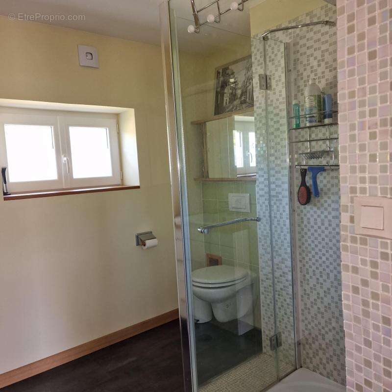 Maison à SAINT-AUBAN-SUR-L&#039;OUVEZE