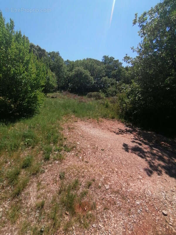 Terrain à LA BOISSIERE
