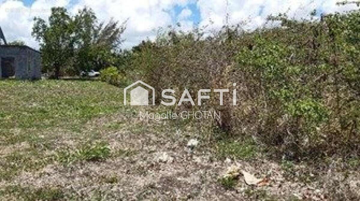 Photo 5 - Terrain à LE MOULE