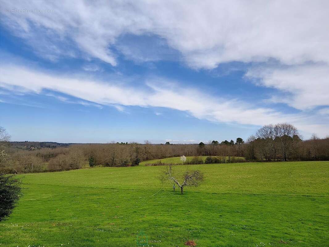 Proche Monpazier, propriété de caractère avec 3 habitations, dépendances et piscine sur 5,3 hectares de terrain - photo 15