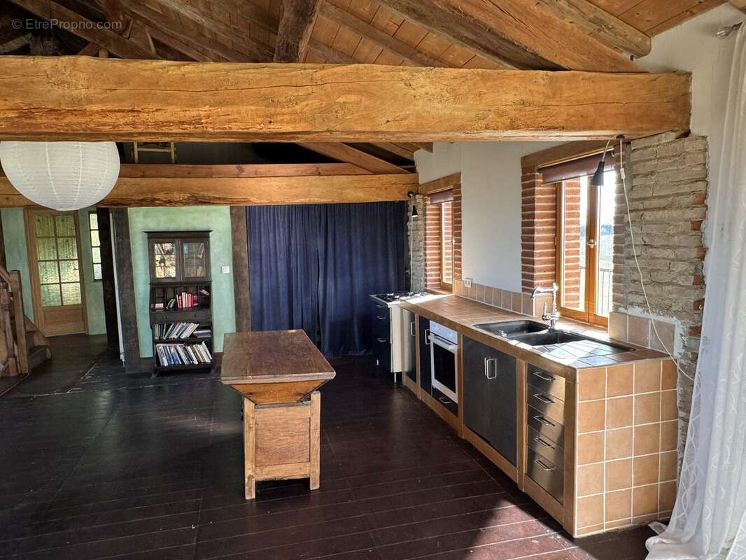 Barn Conversion Mountain view Gite Potential - Maison à L'ISLE-EN-DODON