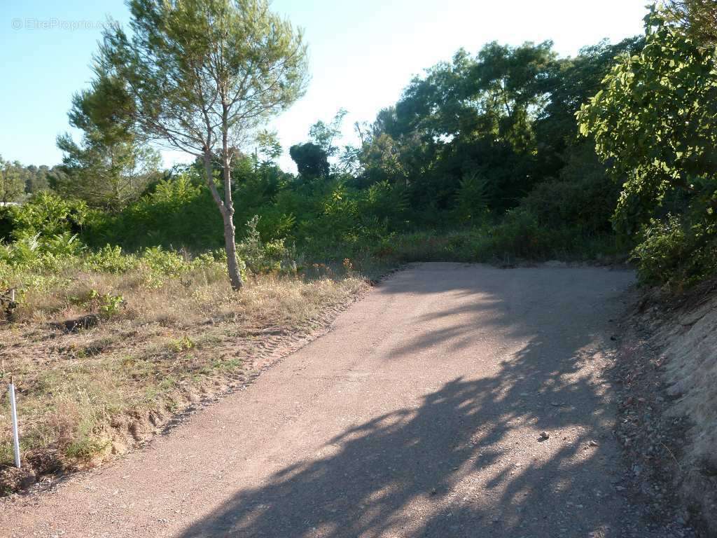 Terrain à CLERMONT-L&#039;HERAULT