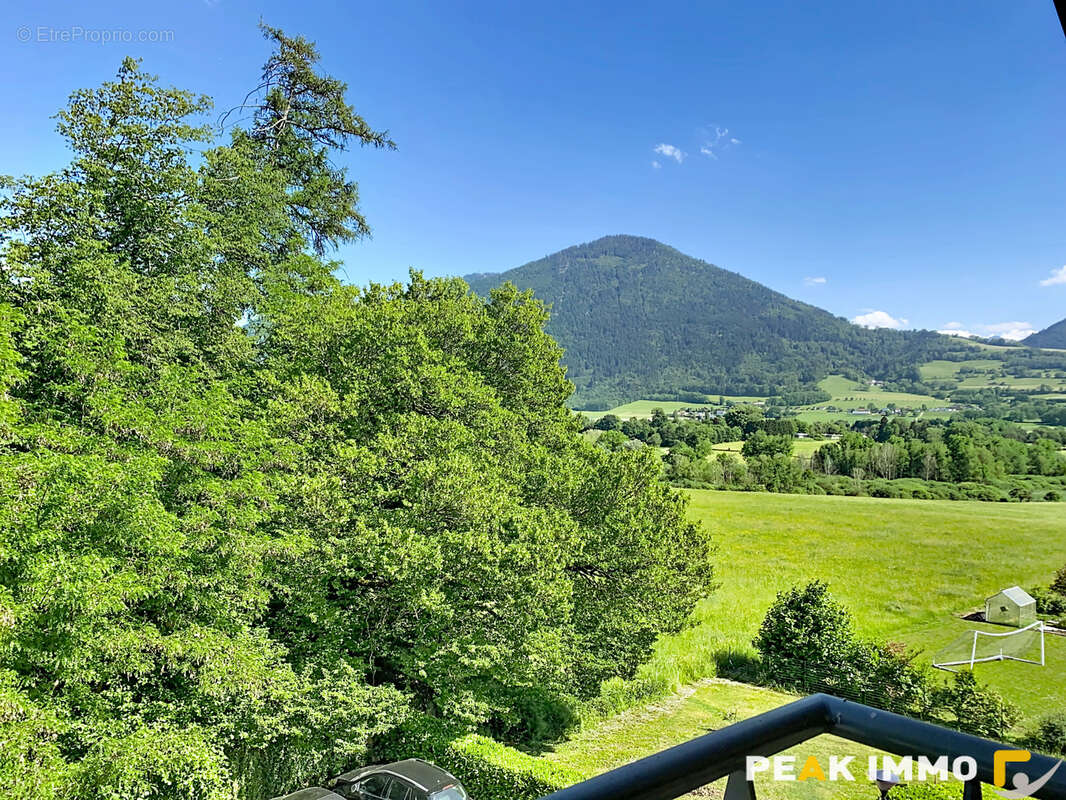 Appartement 47 m² à Ville-En-Sallaz  - photo 5