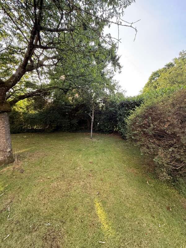 Terrain à CHEVREUSE