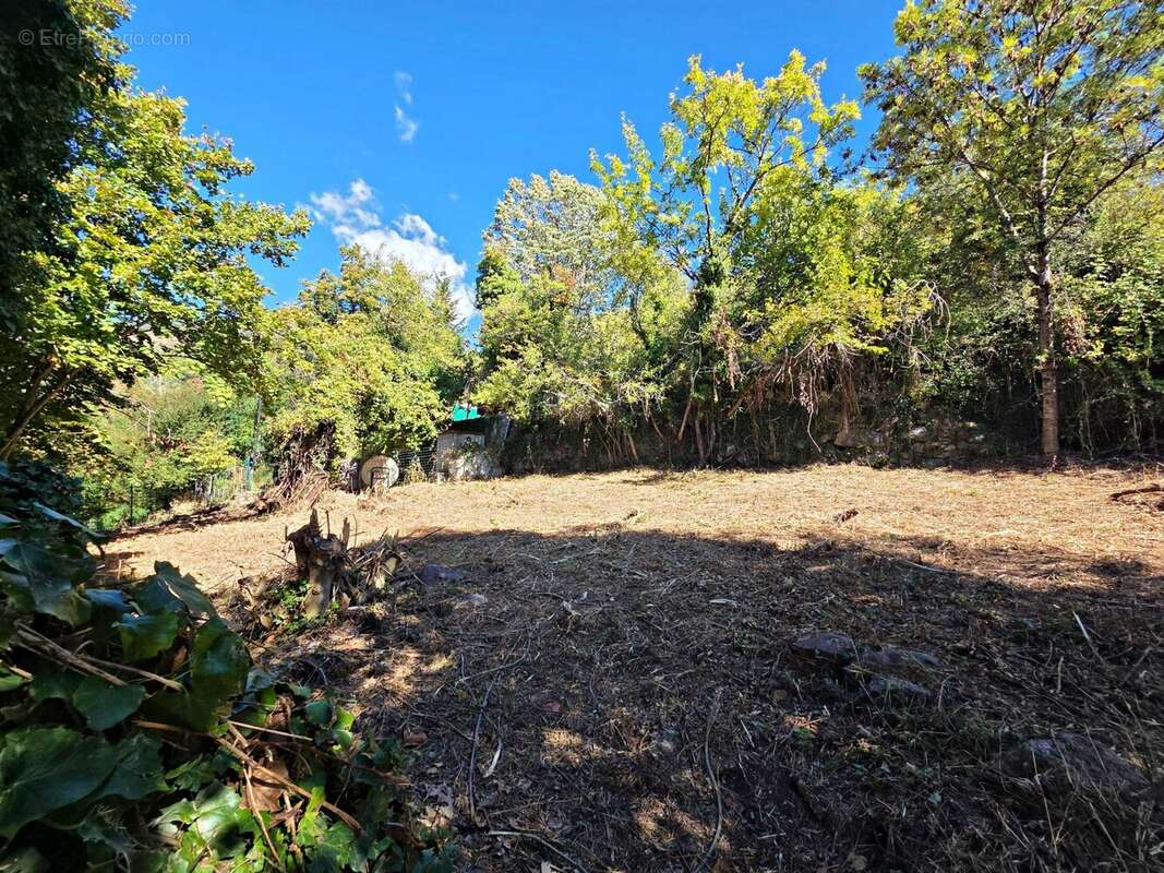 Appartement à BELVEDERE