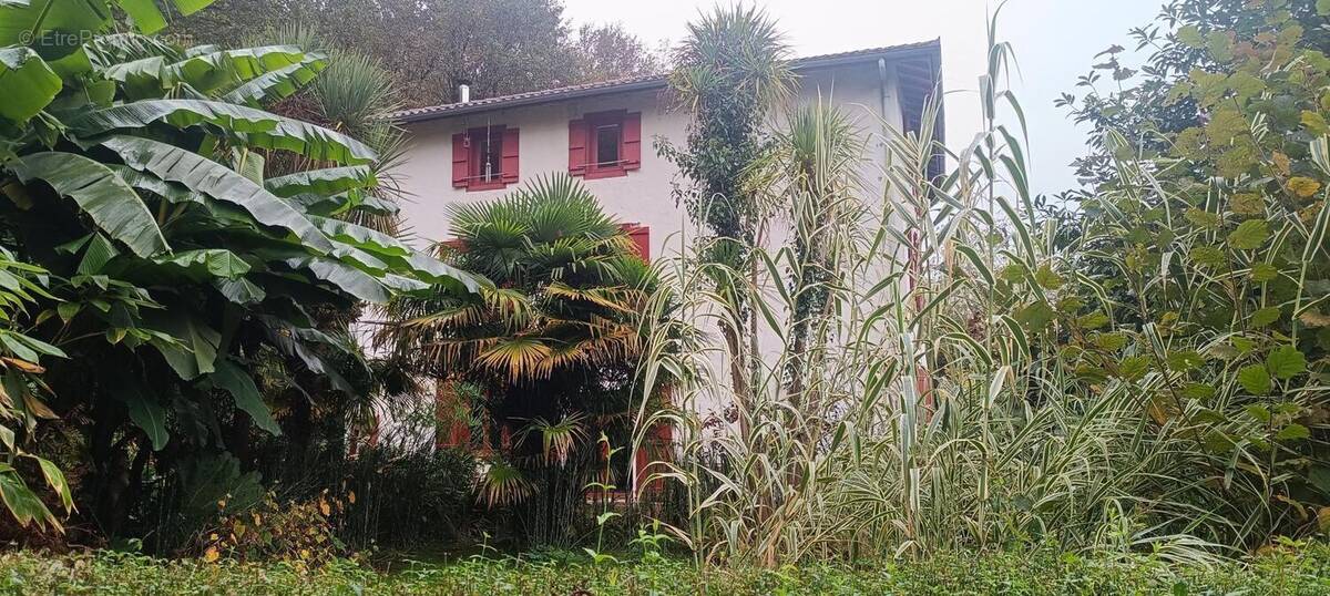 Photo 1 - Maison à ESPELETTE