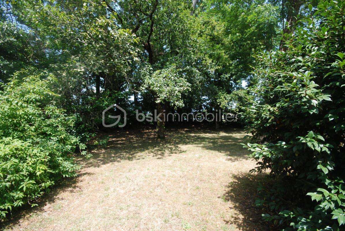 Alerte Investissement Rare : Grand terrain à saisir sur les Pyrénées ! - photo 2