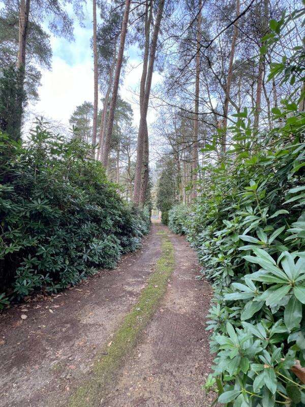 Maison à CERANS-FOULLETOURTE