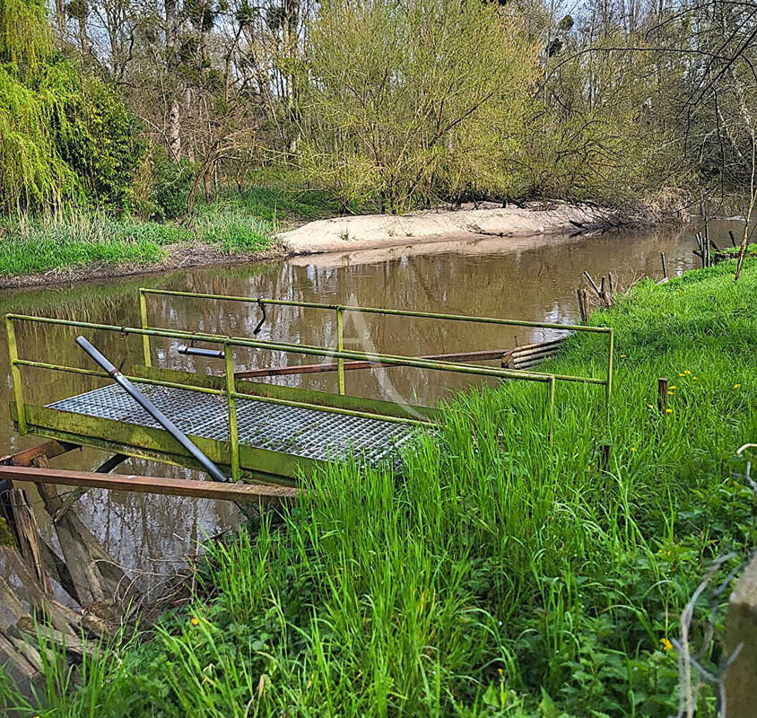 Terrain à TOUR-EN-SOLOGNE