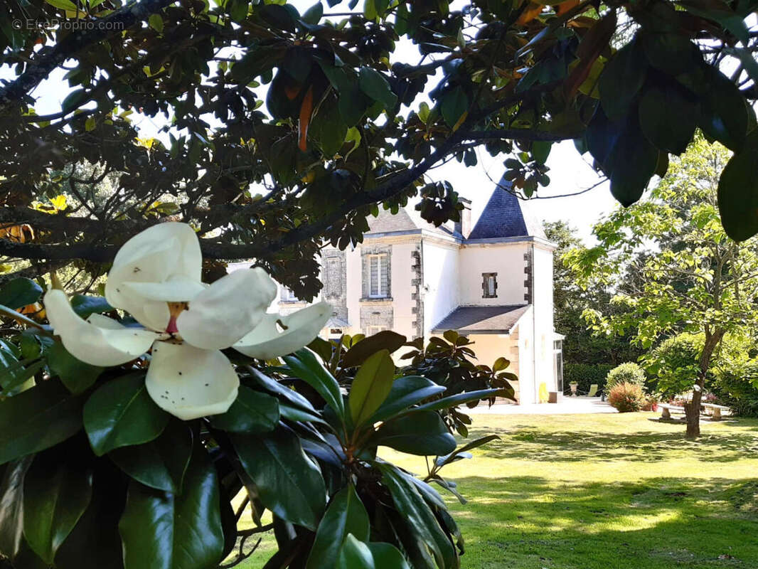 OVERVIEW - Maison à CONDAC