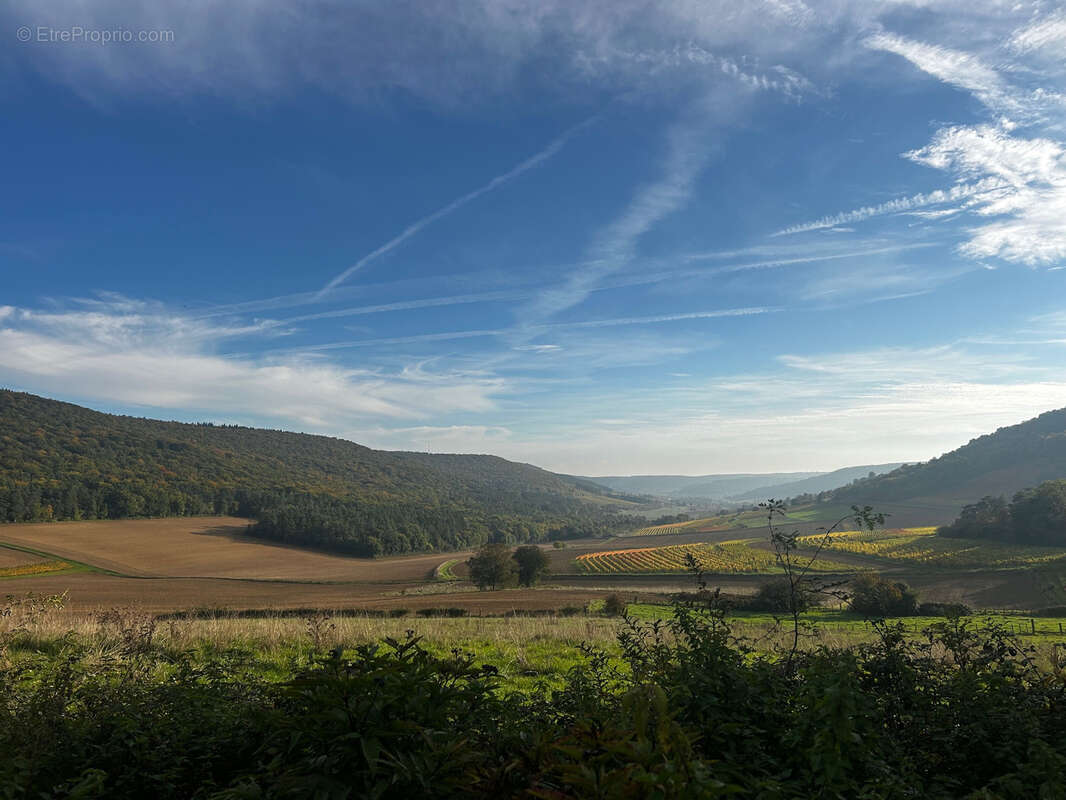 Maison à REULLE-VERGY