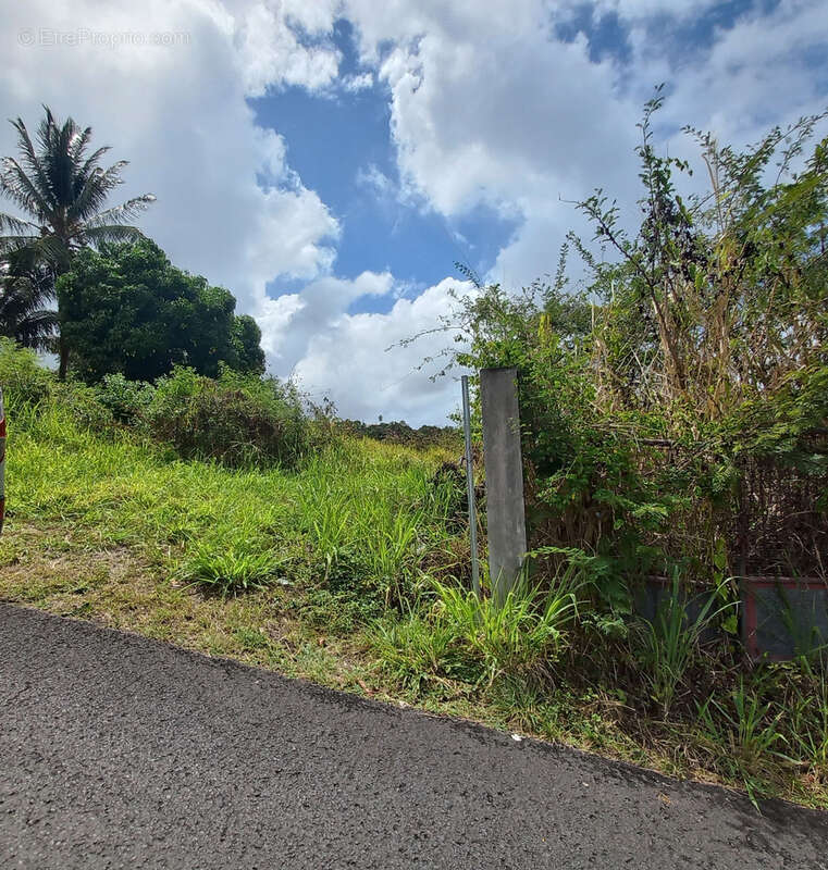 Terrain à VIEUX-HABITANTS