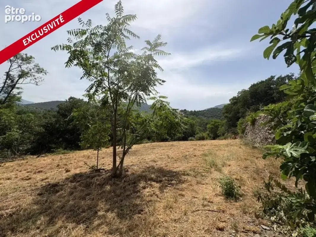 Terrain agricole 4495 m2 Prades - photo 3