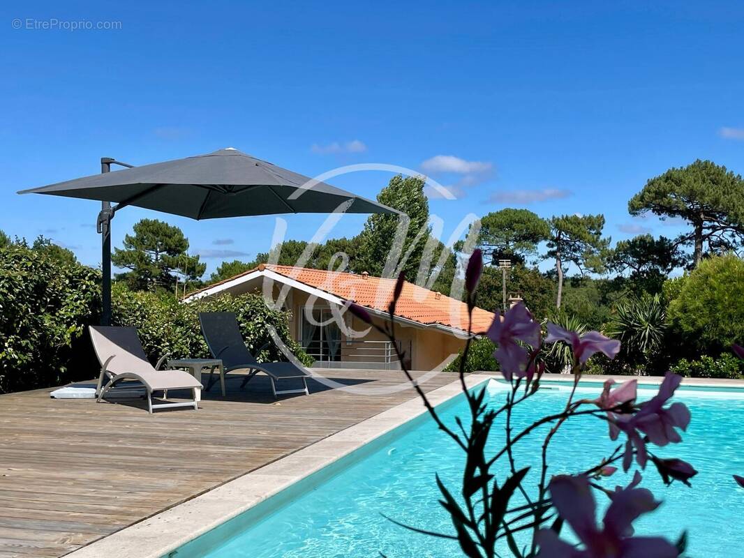 Maison à LE BOUSCAT