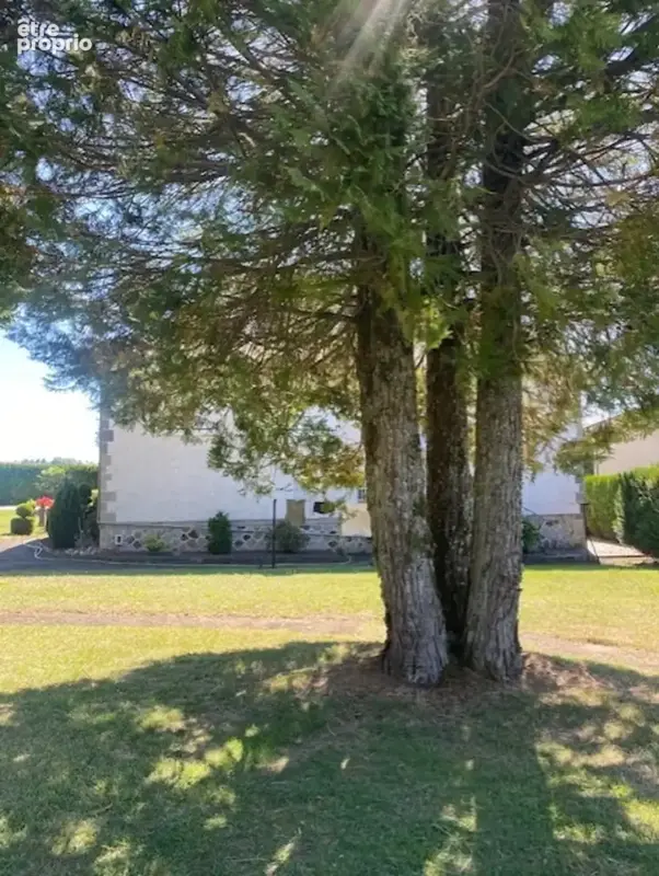 Vaste propriété aux portes d'Aurillac - photo 18