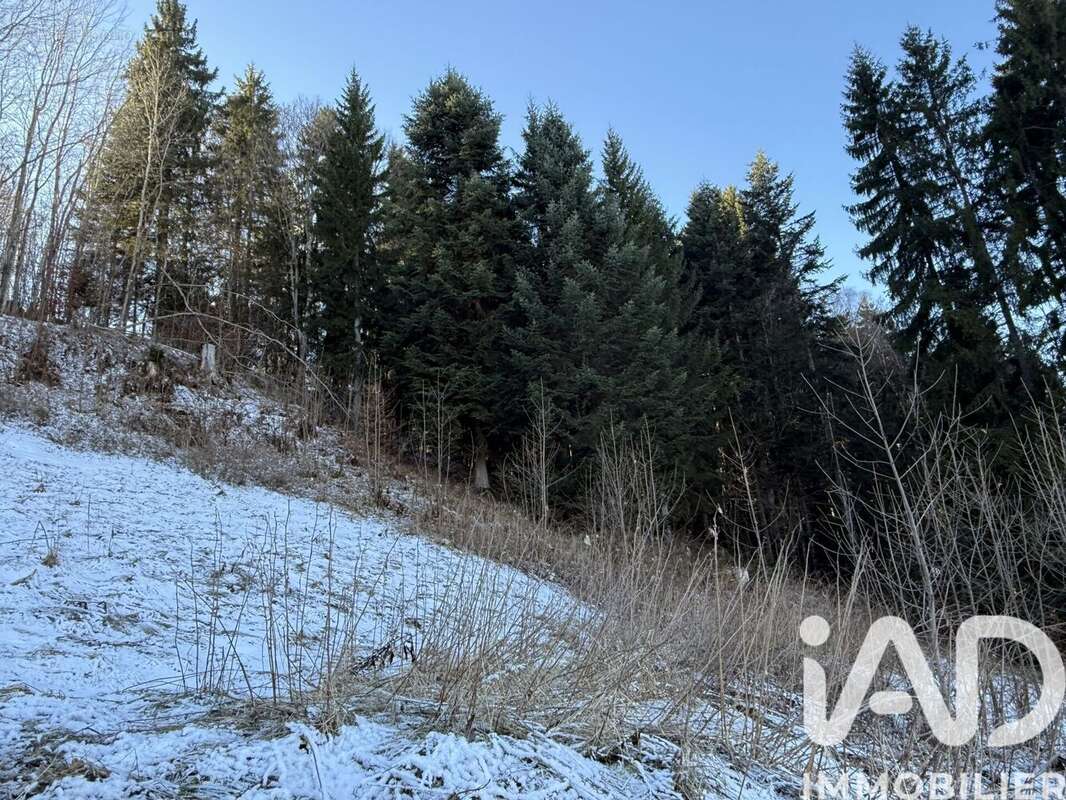 Terrain 1720 m² à Saint-Gervais-Les-Bains  - photo 3