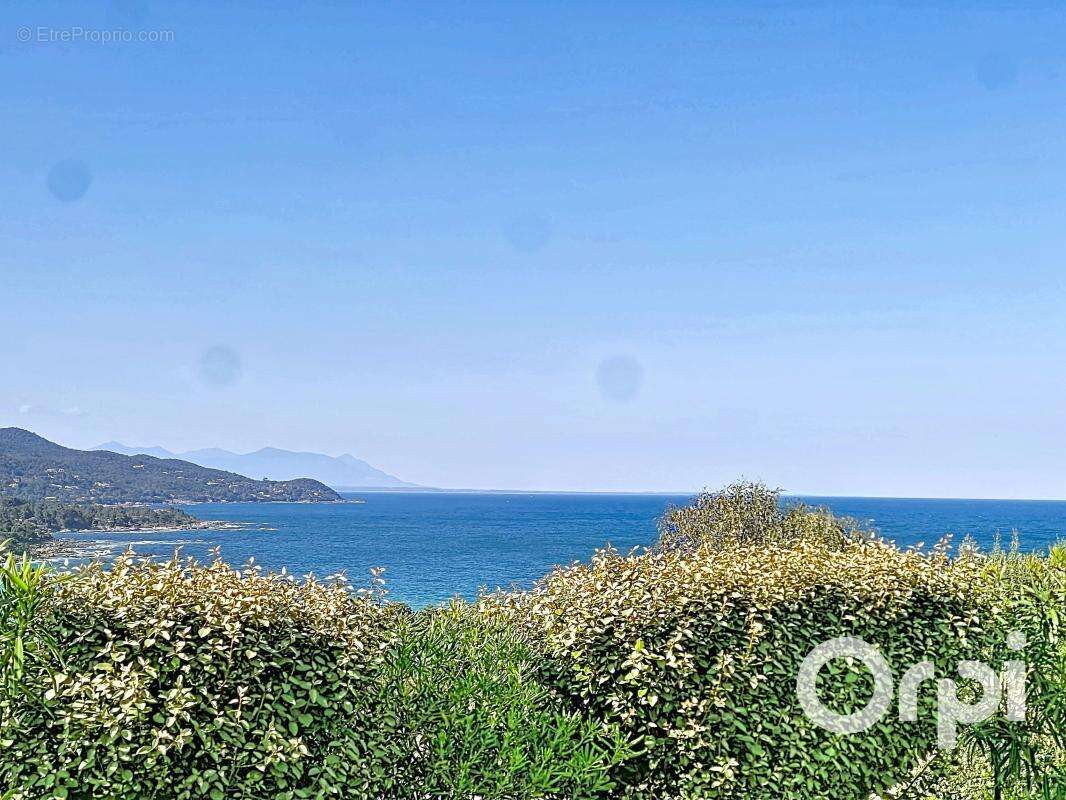 Maison à PORTO-VECCHIO