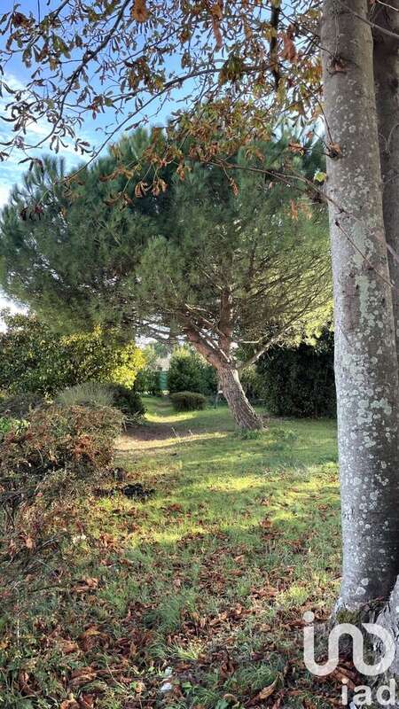 Photo 6 - Maison à LE BOIS-PLAGE-EN-RE