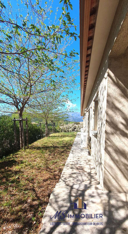 Appartement à OLETTA