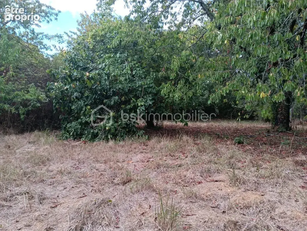  Longère de 195 m² + 185 m² de dépendances – Terrain 2 783 m² - photo 21
