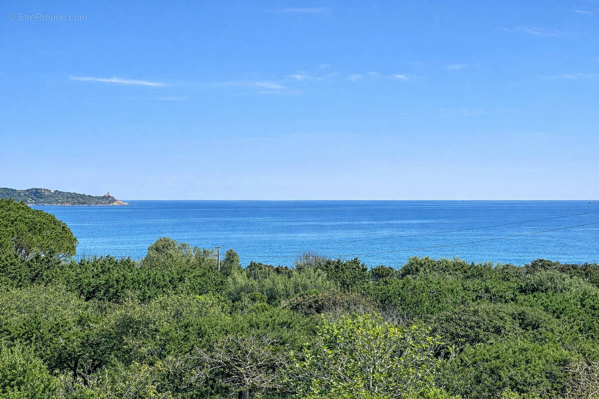 Maison à PORTO-VECCHIO