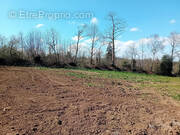 Terrain à SAINT-THOIS