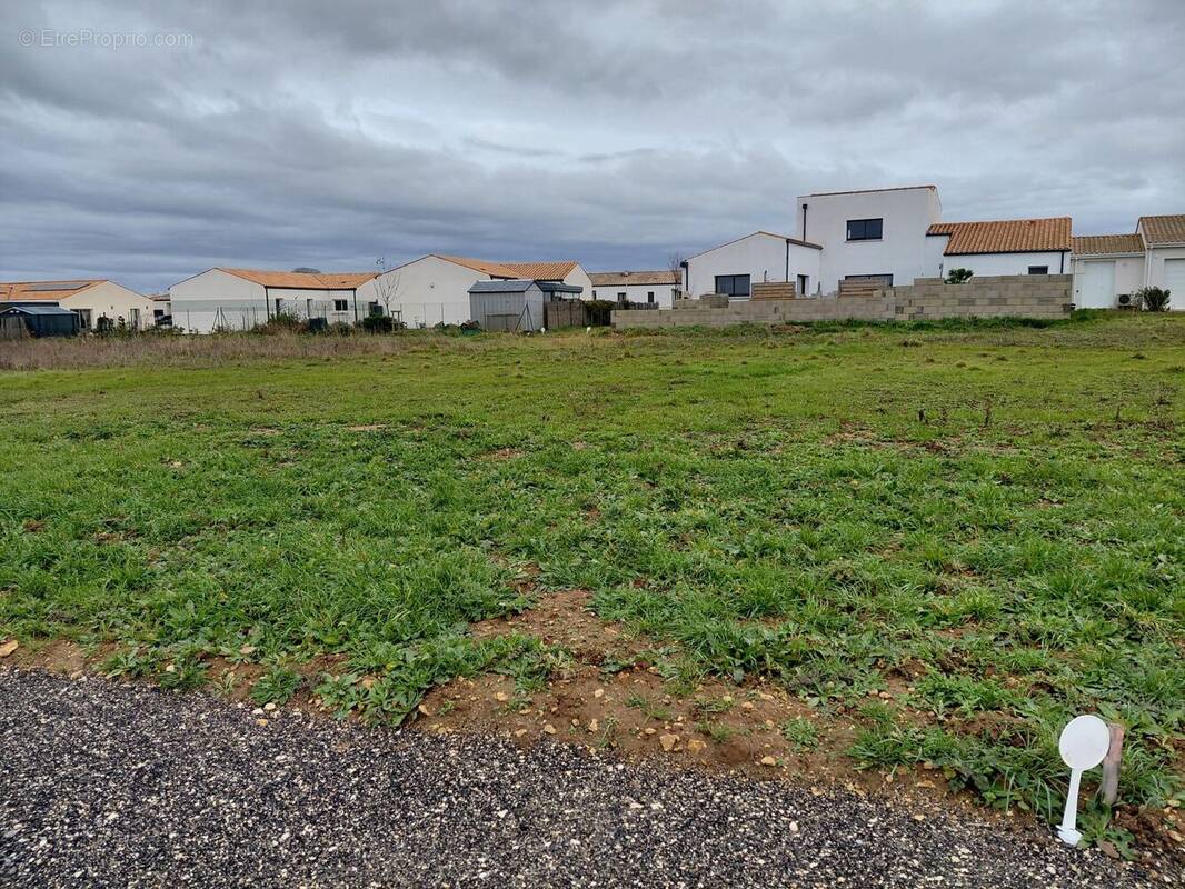 Terrain à PORT-DES-BARQUES