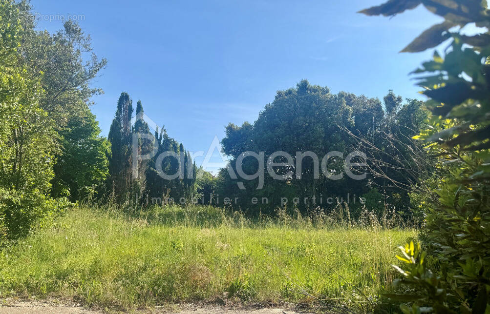 Terrain à VAUX-SUR-MER