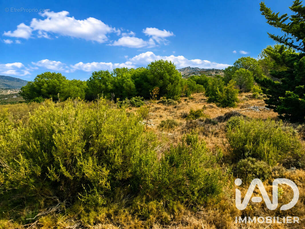 Terrain 9885 m² à Opoul-Perillos  - photo 2
