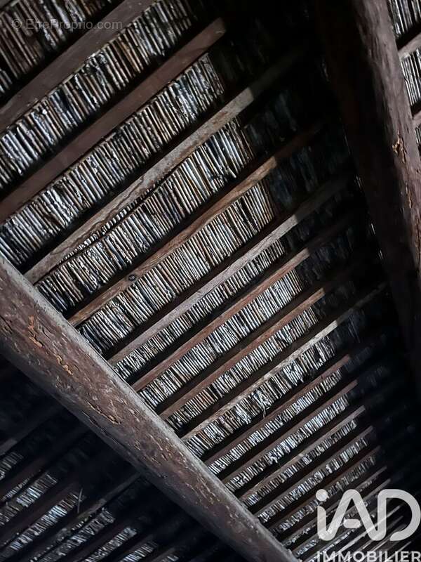 Photo 6 - Maison à SALSES-LE-CHATEAU