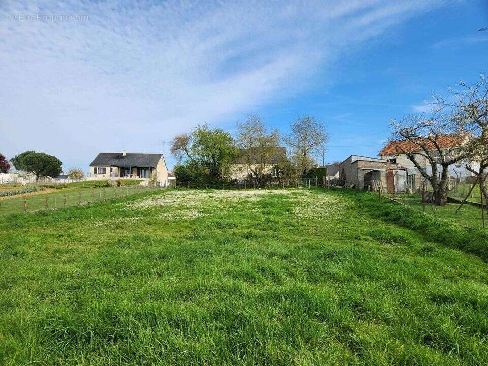 Terrain à LA POMMERAYE
