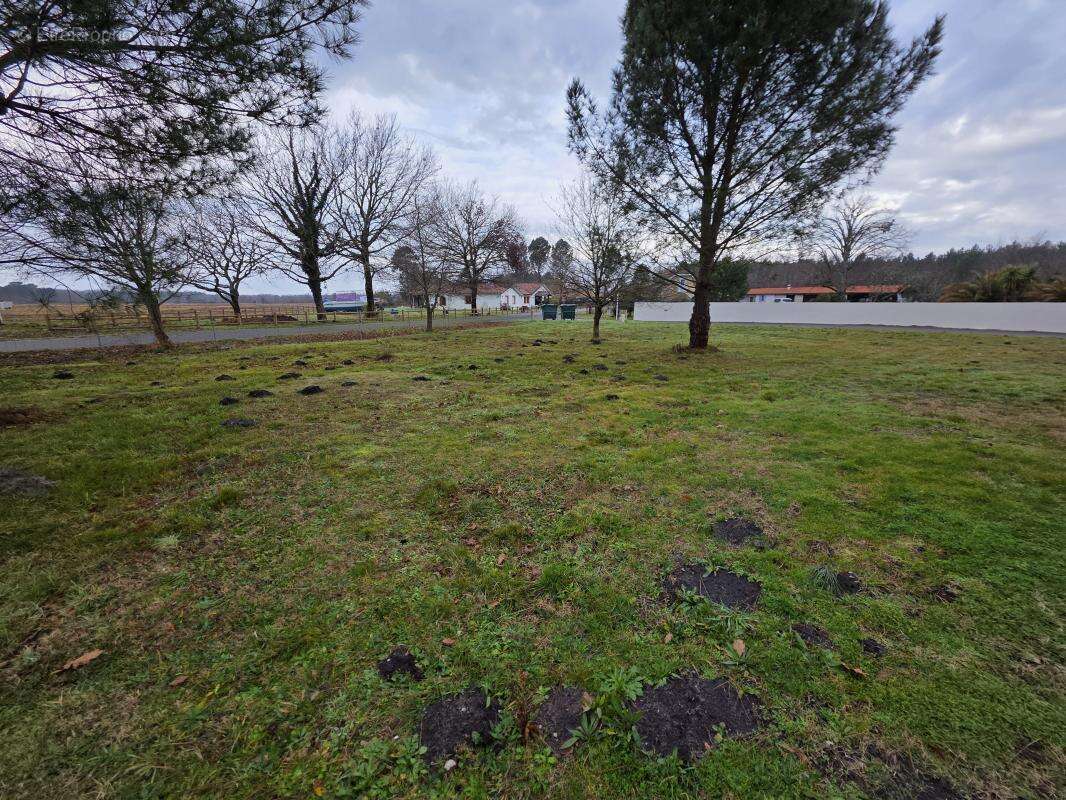 Terrain à BISCARROSSE