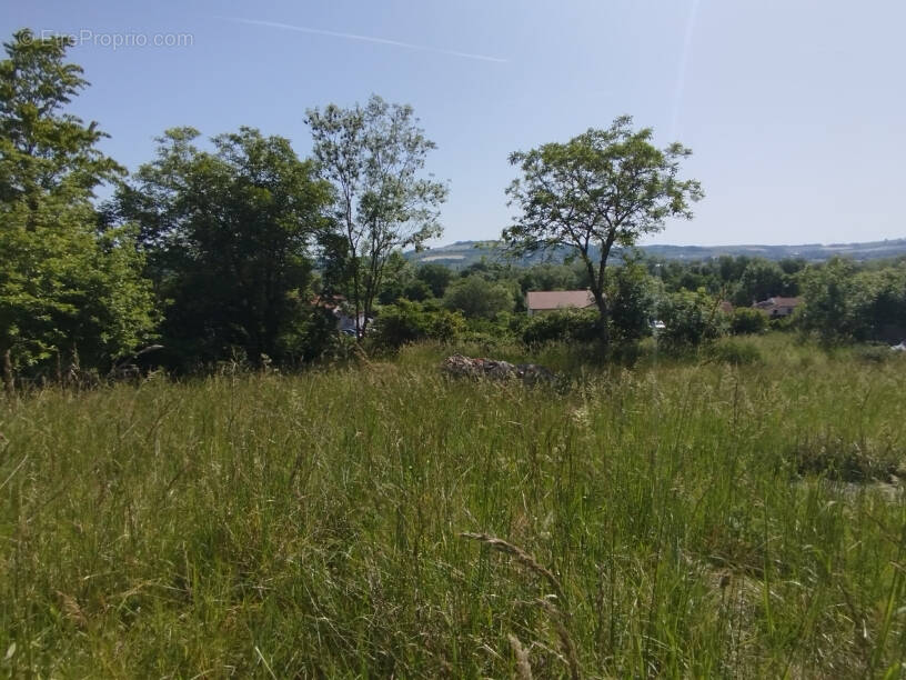 Terrain à PONT-A-MOUSSON