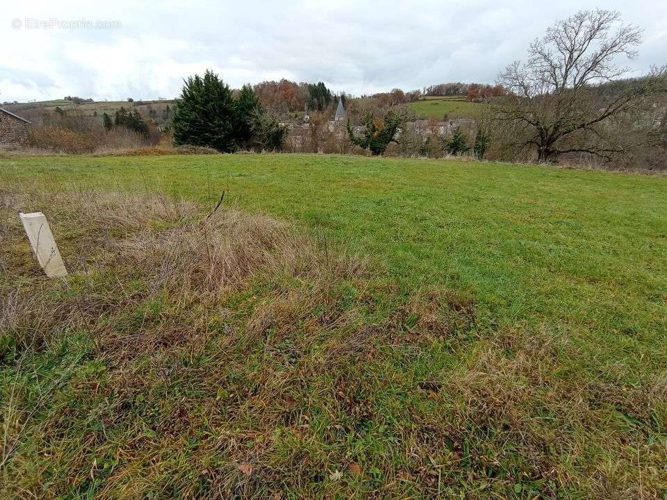 Terrain à FERRIERES-SUR-SICHON