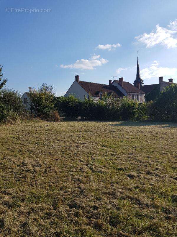 Terrain La Cour Marigny 1 313  m2 - photo 4