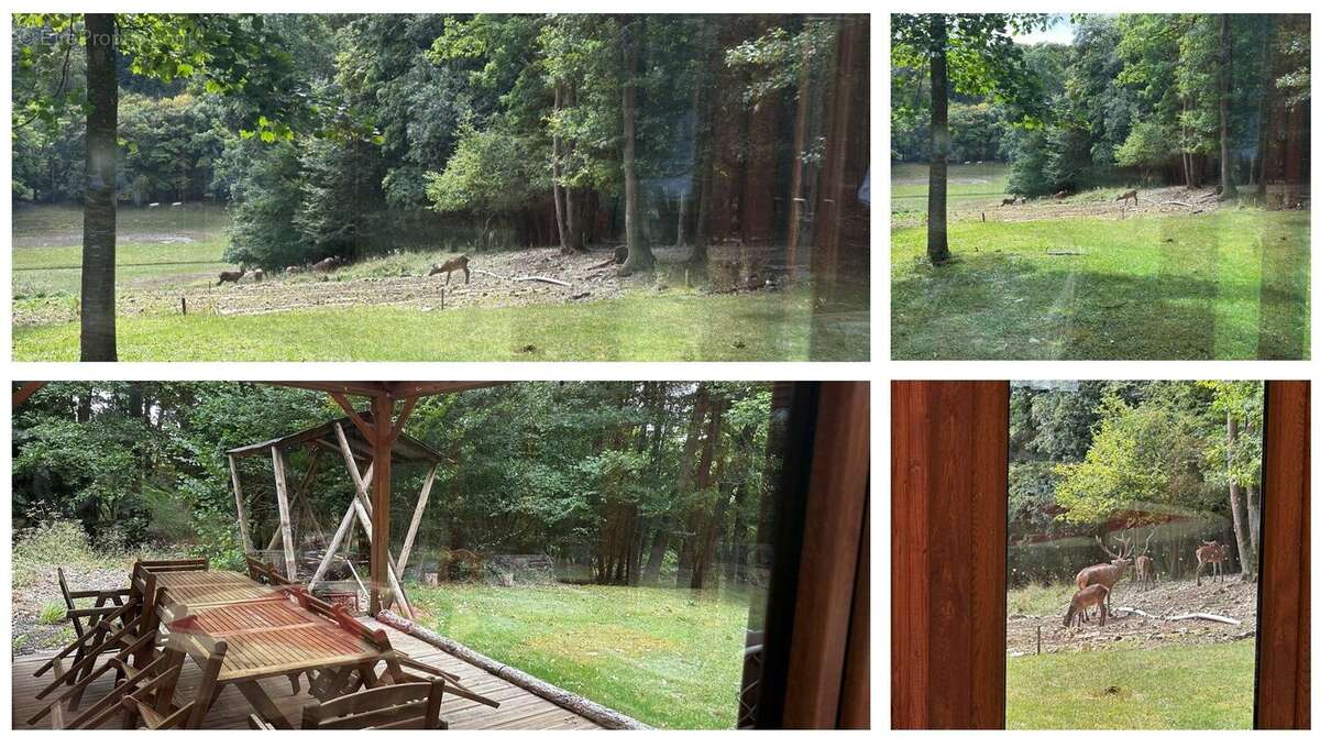 Terrain à HEUBECOURT-HARICOURT