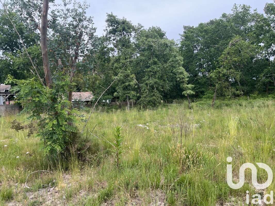 Photo 3 - Terrain à SALLES