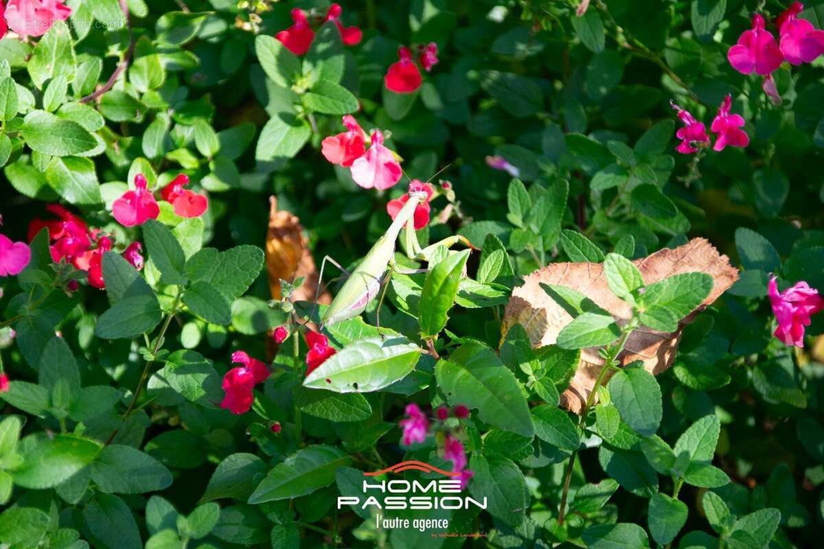 Maison à SAINT-PALAIS-SUR-MER