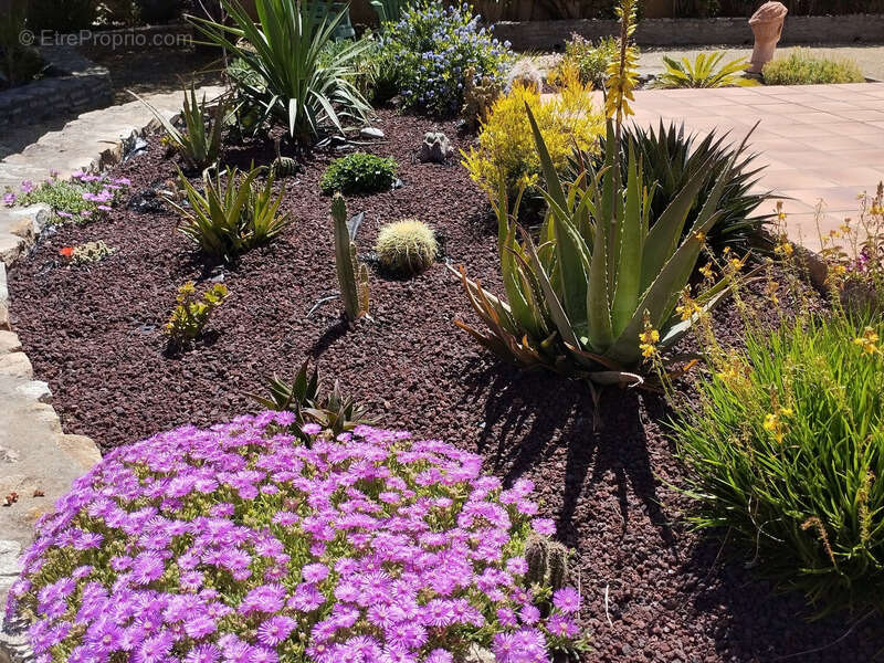 Maison à LEZIGNAN-CORBIERES