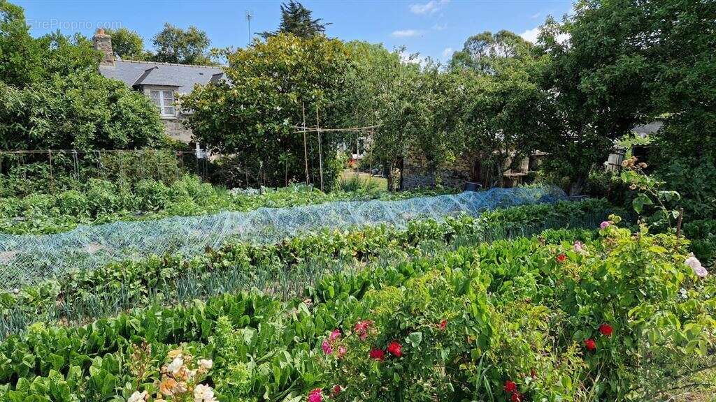 Maison à PLENEUF-VAL-ANDRE