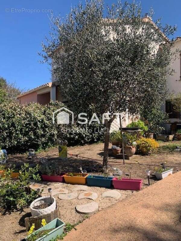 Photo 2 - Maison à SARTENE