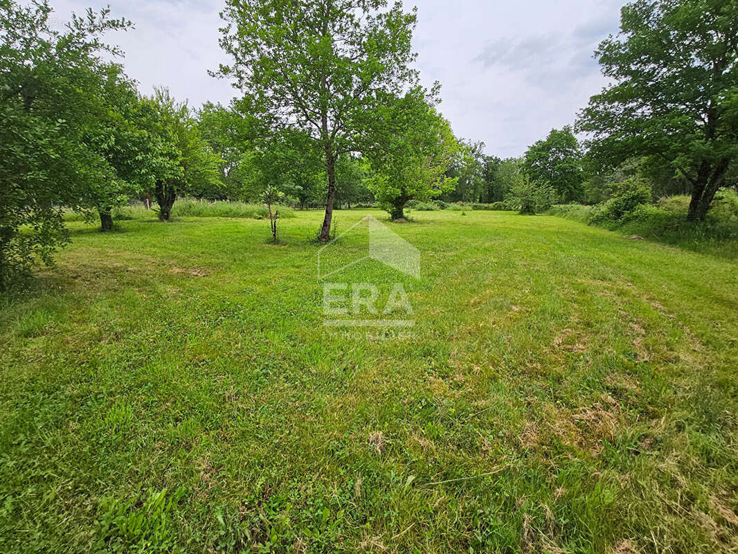 Terrain 3853m² à moulin-neuf - photo 3