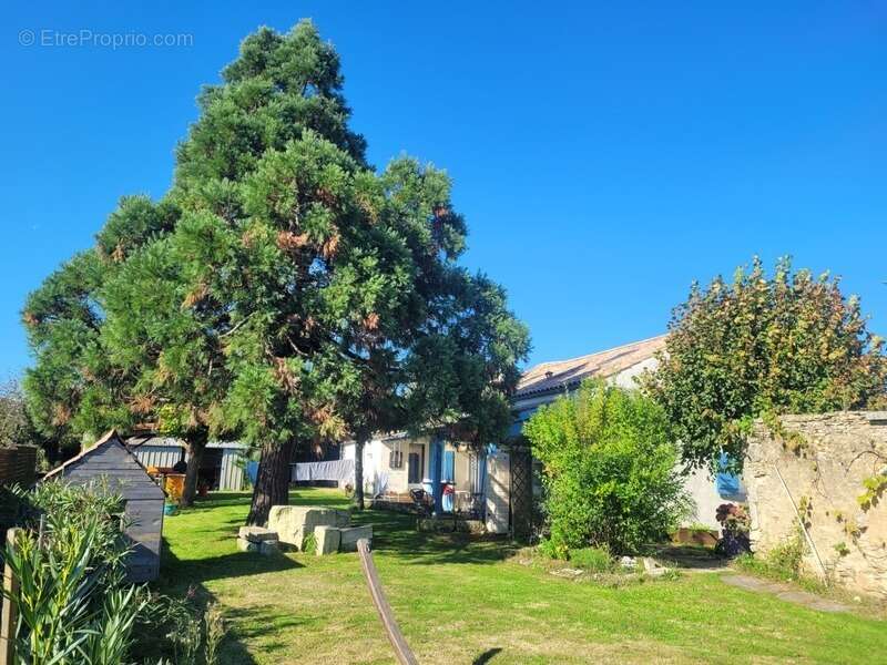 Maison à vendre 5 pièces LUSSANT (17) - photo 11
