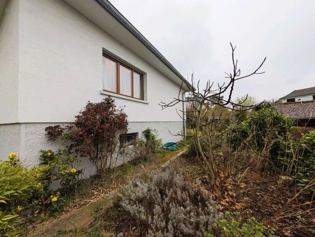 Maison à BISCHWILLER