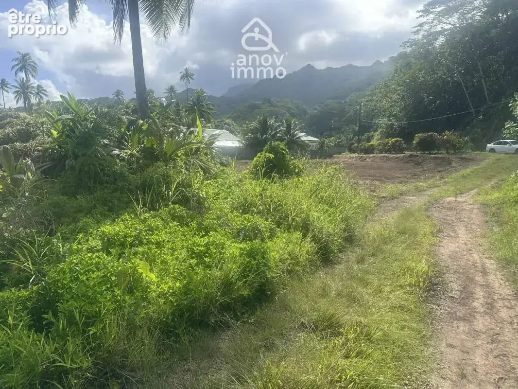 Terrain à Vendre à Tahiti   Cadre Tropical et Privilégié - photo 5