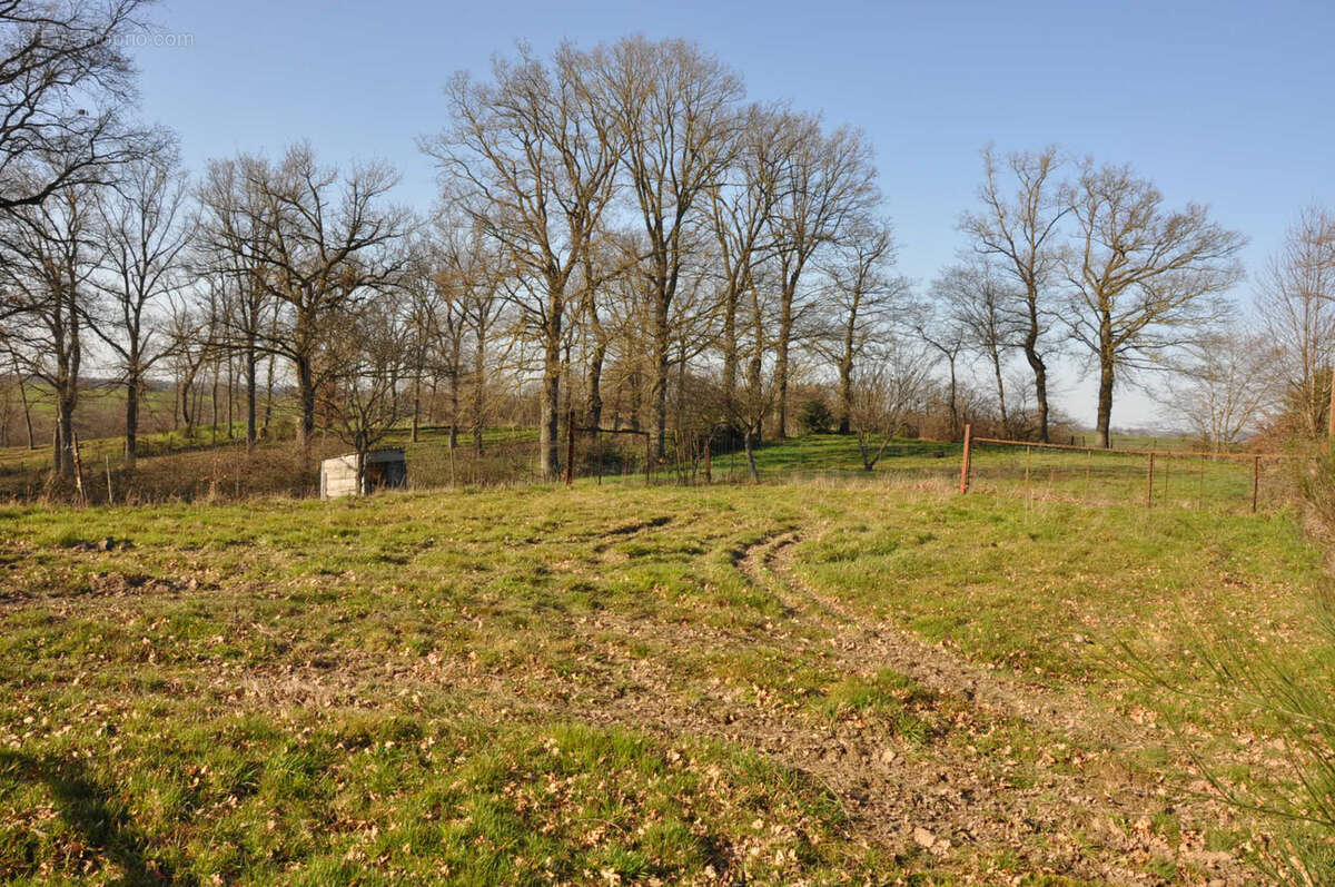Jolie longère à la campagne, avec 6 chambres et 5610 m2 de terrain - photo 23