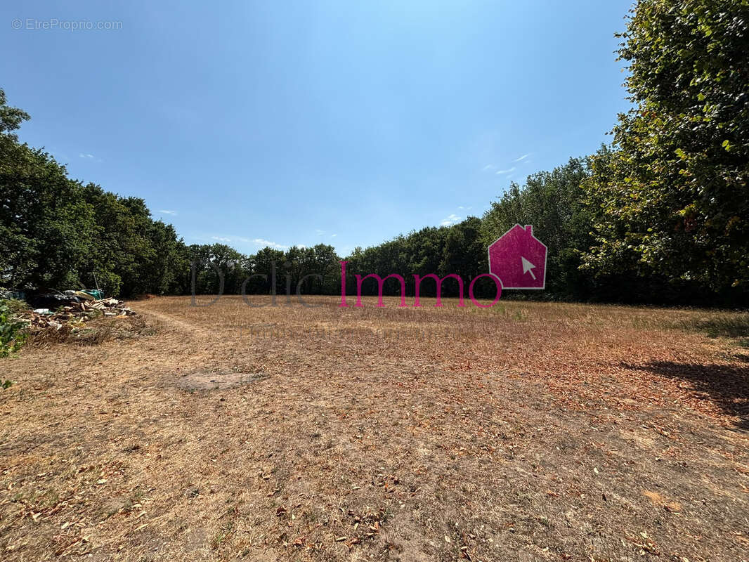 NOTRE DAME DE RIEZ - Longère avec 3 chambres - deux garages et une dépendance de 50m2. 7944 m2 de terrain. - photo 11