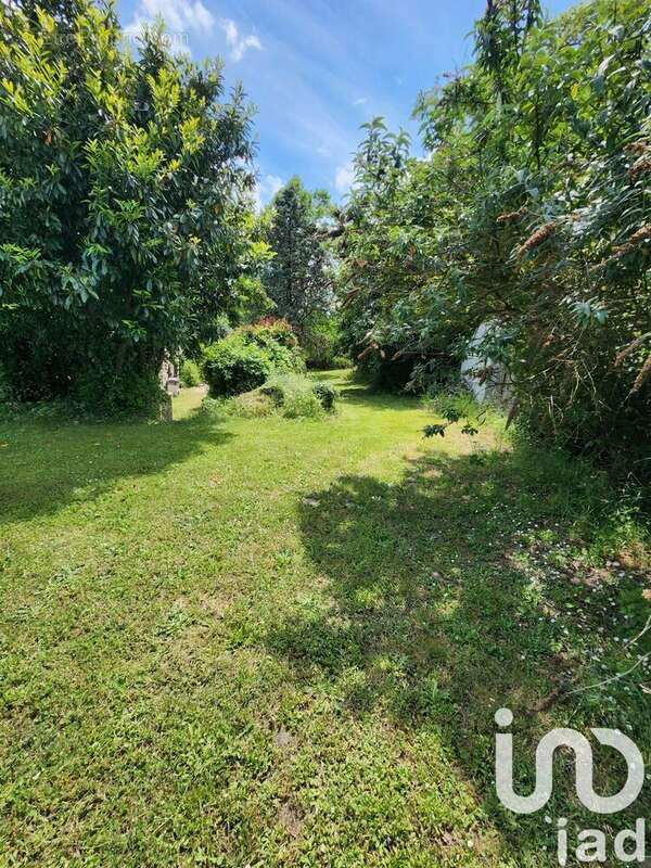 Photo 3 - Maison à SAINT-PALAIS